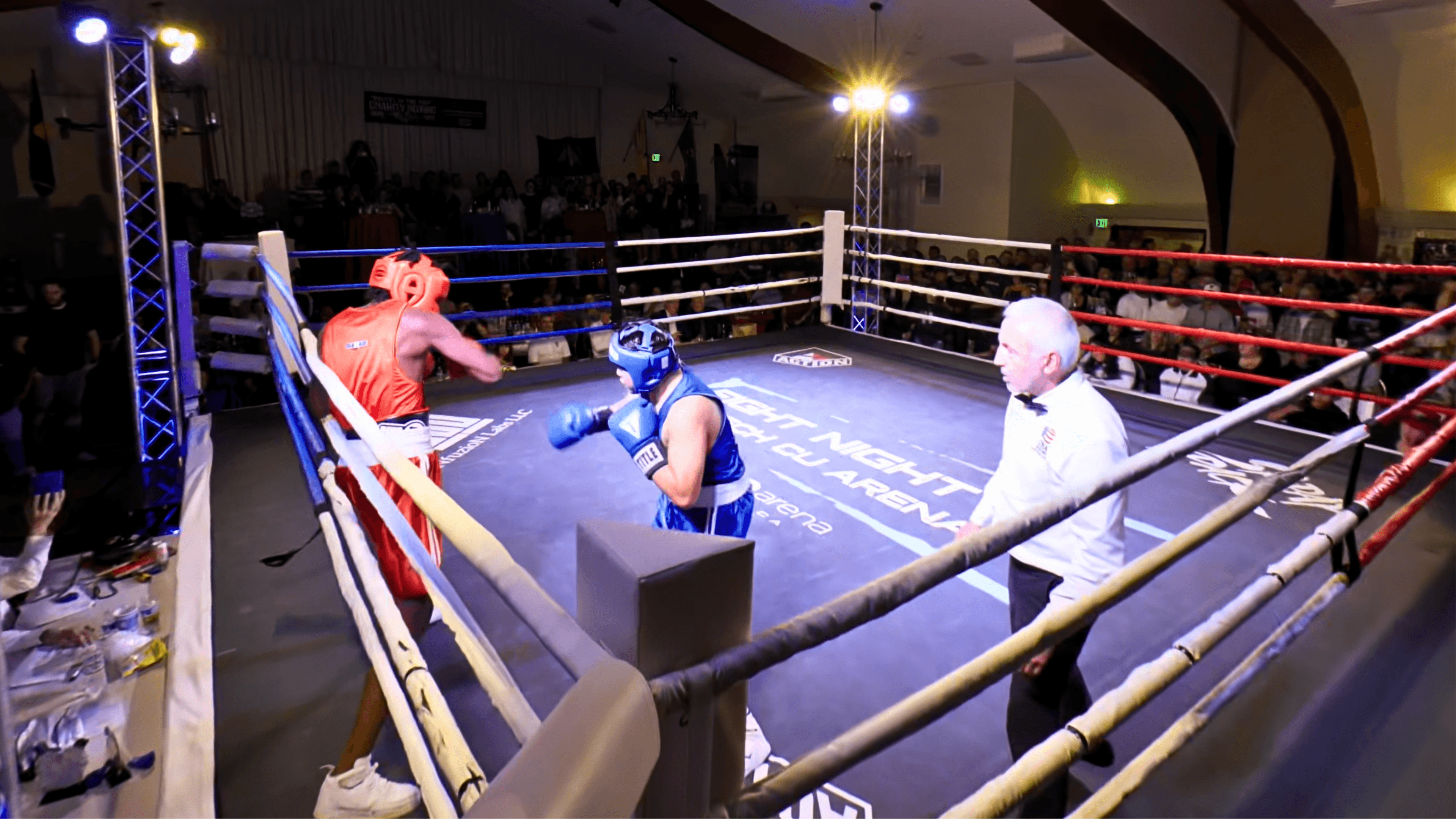 A screenshot of the boxing match Vantage